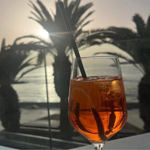 Meet your Posher, Lila